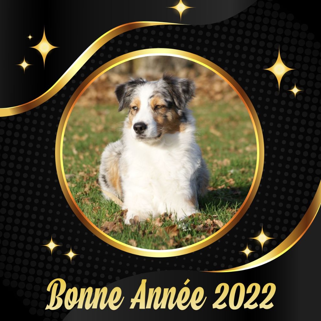 De L'étoile Des Louves - Bonne Année 2022