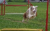  - Agility