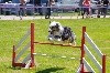  - Vice champion de France agility