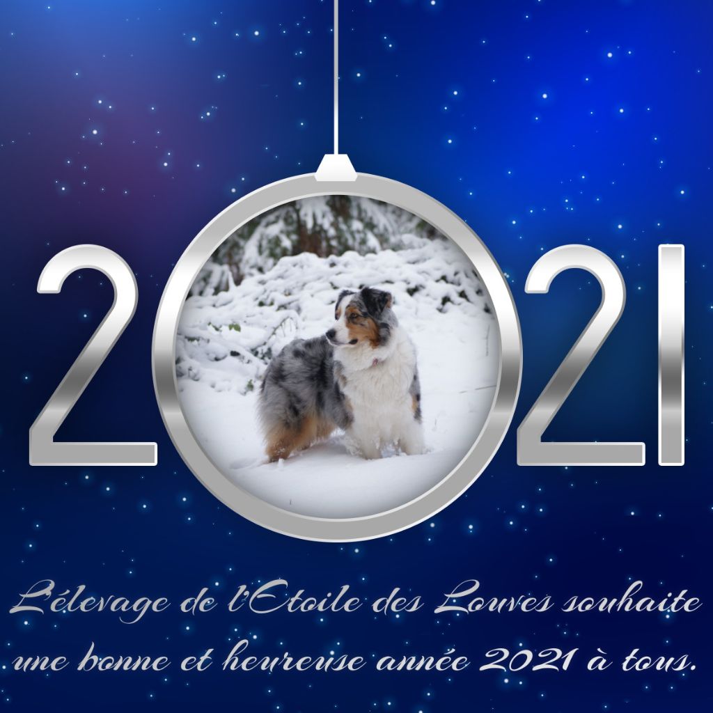 De L'étoile Des Louves - Bonne année 2021