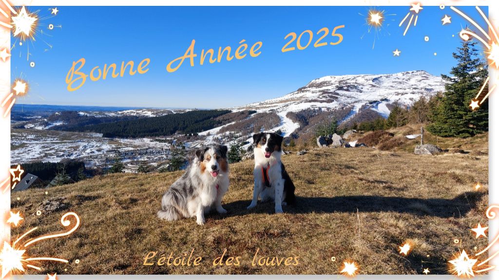 De L'étoile Des Louves - Bonne année 2025