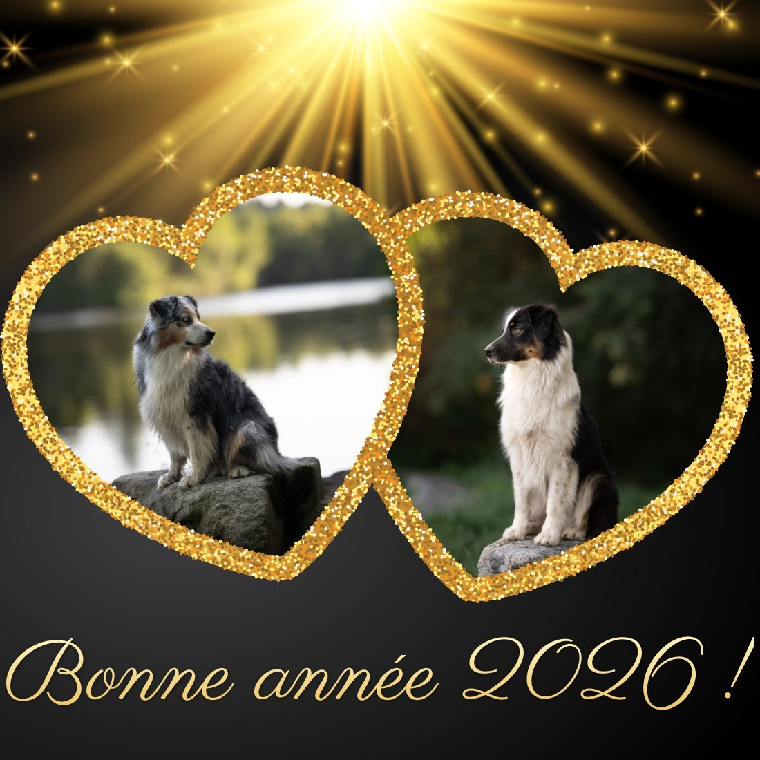 Bonne année 2026
