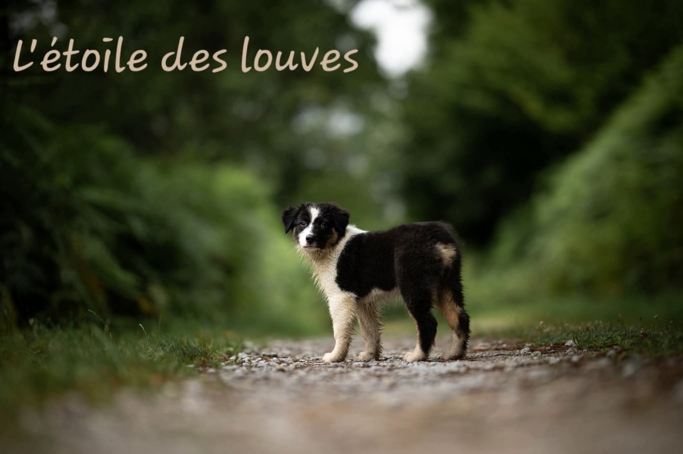 Future portée 2027