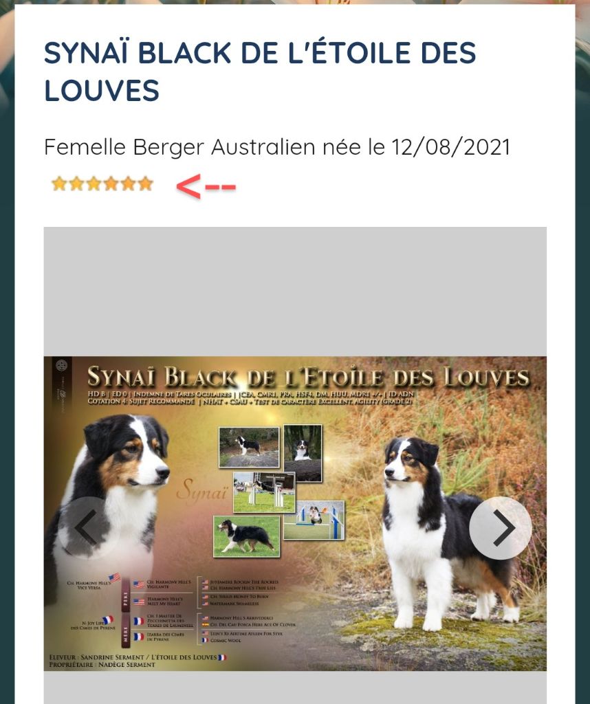 De L'étoile Des Louves - Que représentent les étoiles sur la fiche chien?